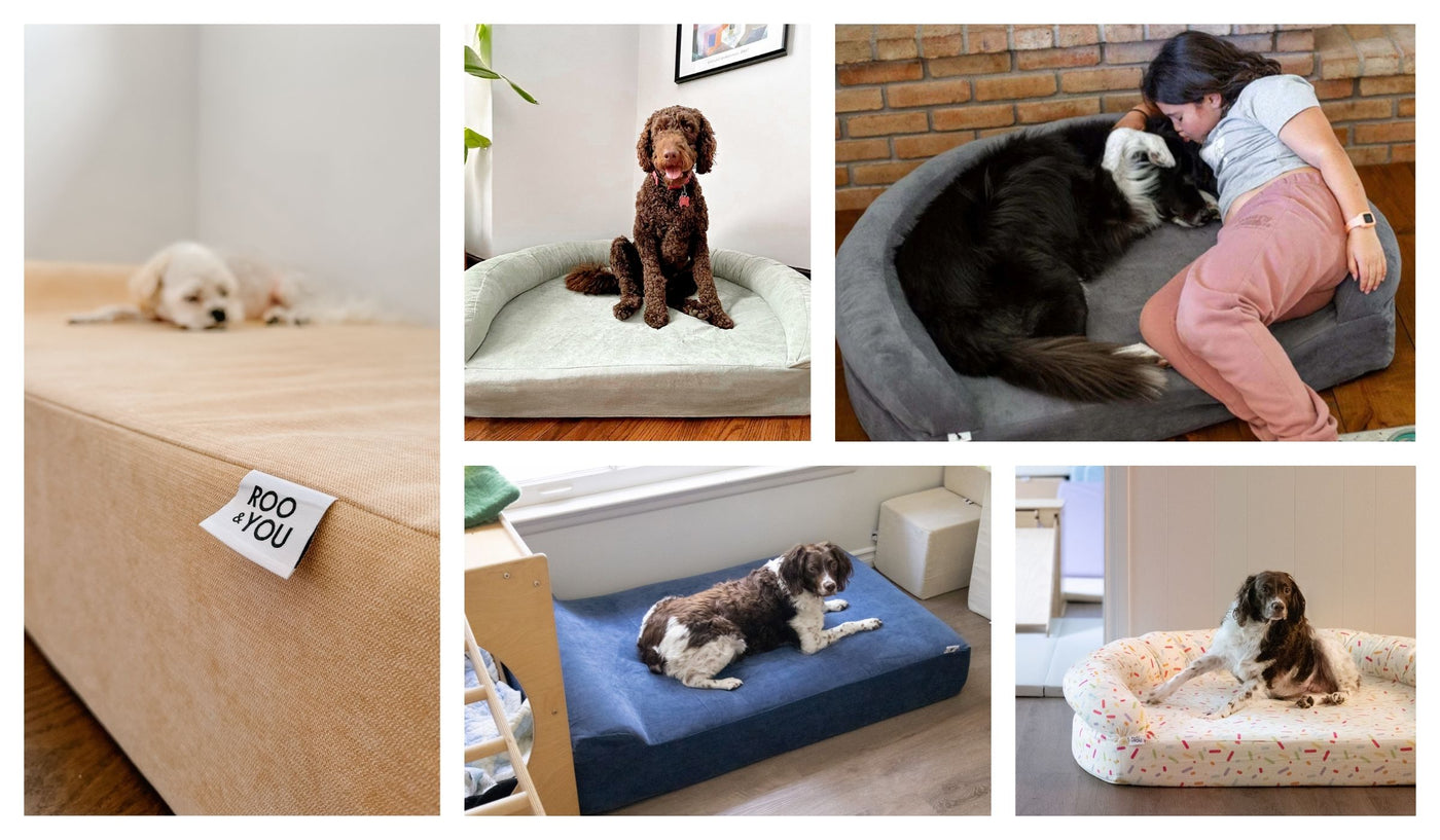 Fetch and Lounger Pet Beds