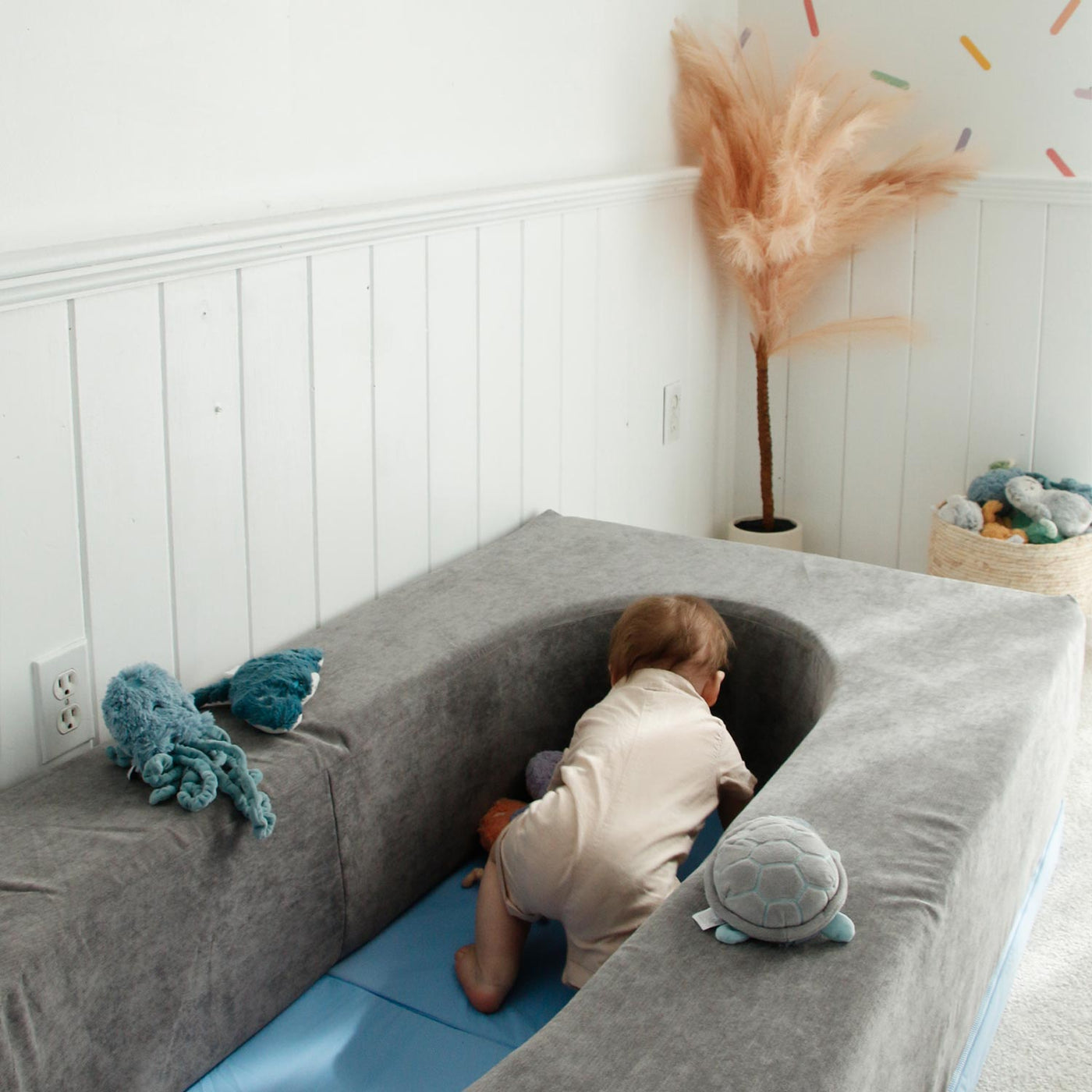 #color_grey-velveteen